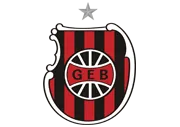 Website logo